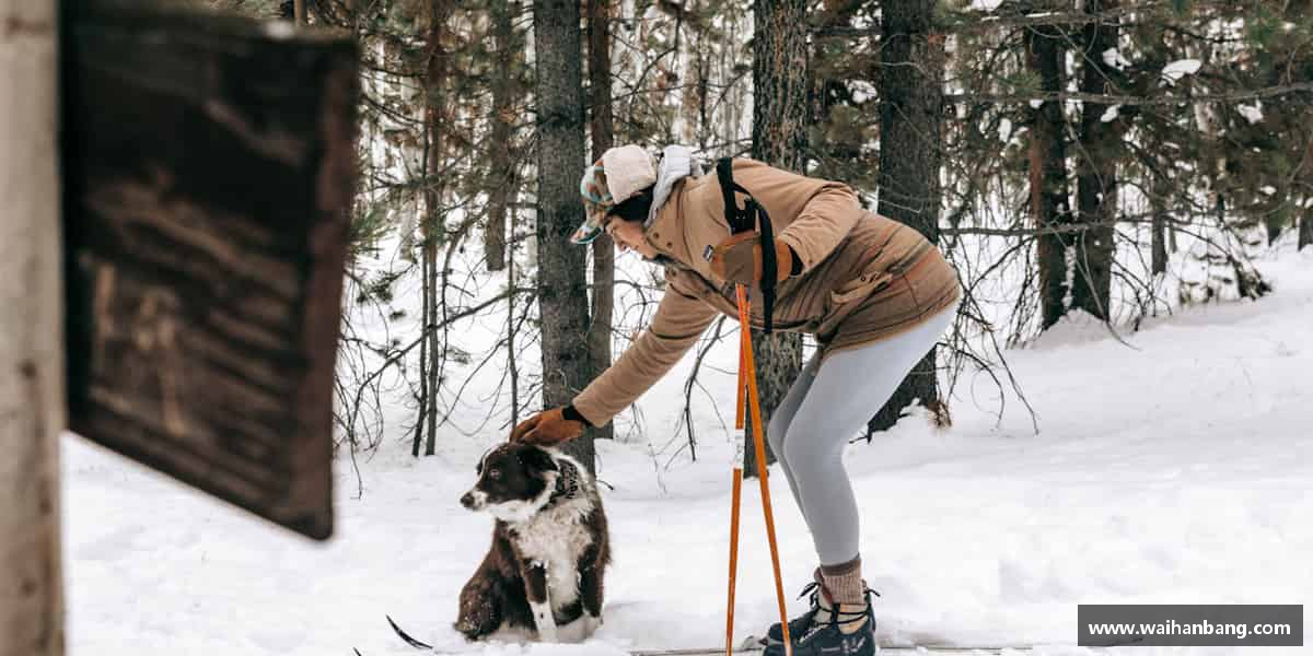 了解emc易倍·体育